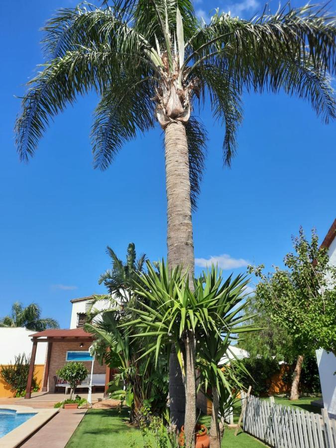 Chalet La Huerta Con Piscina Y Wifi كونيل ذي لا فرونتيرا المظهر الخارجي الصورة