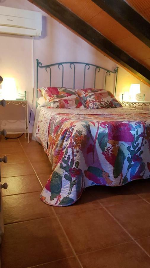 Chalet La Huerta Con Piscina Y Wifi كونيل ذي لا فرونتيرا المظهر الخارجي الصورة